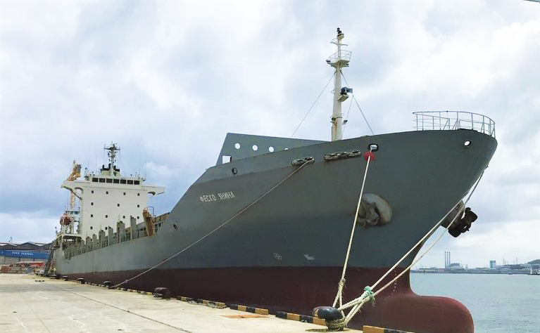 FESCO приостановила перевозки через Черное море
